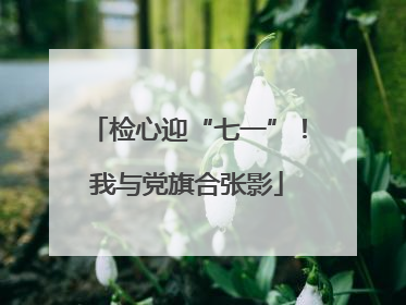 检心迎“七一”！我与党旗合张影