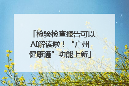 检验检查报告可以AI解读啦！“广州健康通”功能上新