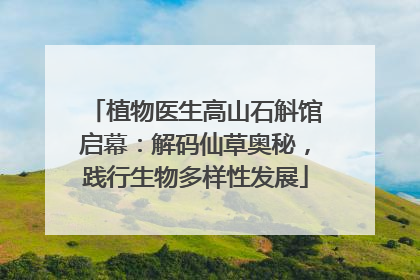植物医生高山石斛馆启幕：解码仙草奥秘，践行生物多样性发展