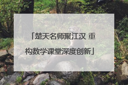 楚天名师聚江汉 重构数学课堂深度创新