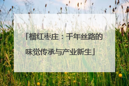 榴红枣庄：千年丝路的味觉传承与产业新生