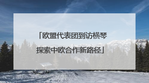 欧盟代表团到访横琴 探索中欧合作新路径