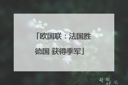 欧国联：法国胜德国 获得季军