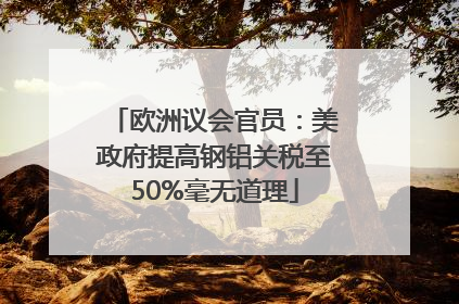 欧洲议会官员：美政府提高钢铝关税至50%毫无道理