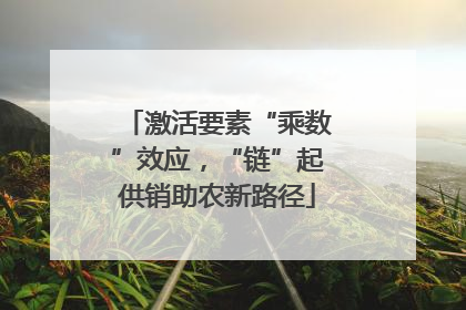 激活要素“乘数”效应，“链”起供销助农新路径