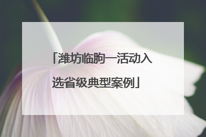 潍坊临朐一活动入选省级典型案例