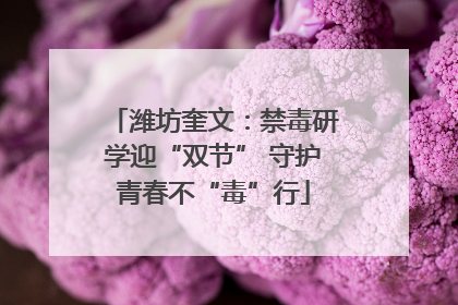 潍坊奎文：禁毒研学迎“双节” 守护青春不“毒”行