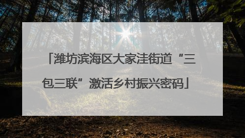 潍坊滨海区大家洼街道“三包三联”激活乡村振兴密码