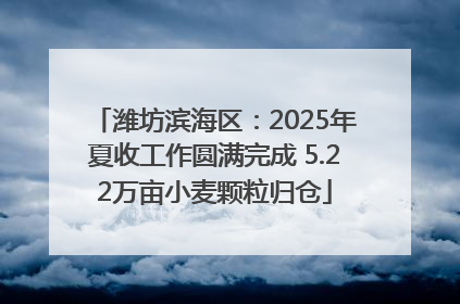 潍坊滨海区：2025年夏收工作圆满完成 5.22万亩小麦颗粒归仓