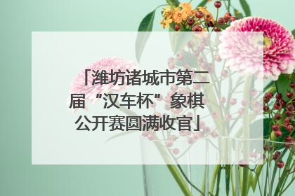 潍坊诸城市第二届“汉车杯”象棋公开赛圆满收官