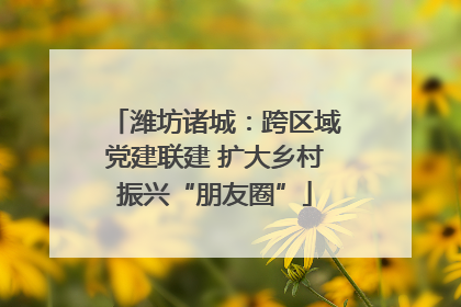 潍坊诸城：跨区域党建联建 扩大乡村振兴“朋友圈”