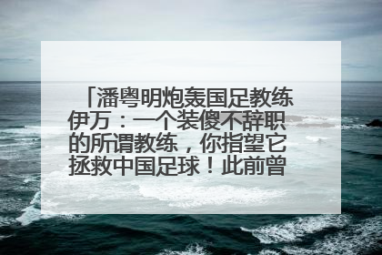 潘粤明炮轰国足教练伊万：一个装傻不辞职的所谓教练，你指望它拯救中国足球！此前曾多次发文评价国足