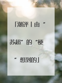 潮评丨由“苏超”的“梗”想到的
