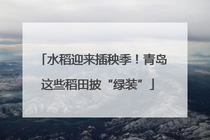 水稻迎来插秧季！青岛这些稻田披“绿装”