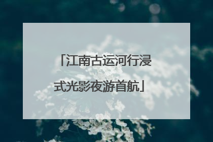 江南古运河行浸式光影夜游首航