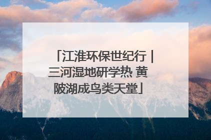 江淮环保世纪行｜三河湿地研学热 黄陂湖成鸟类天堂