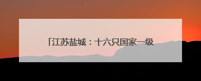 江苏盐城：十六只国家一级保护动物东方白鹳放归自然