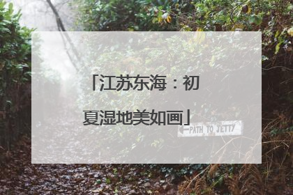 江苏东海：初夏湿地美如画