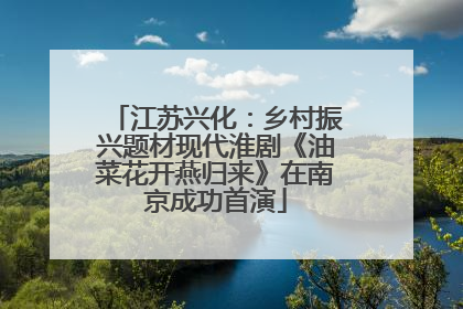 江苏兴化：乡村振兴题材现代淮剧《油菜花开燕归来》在南京成功首演
