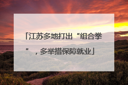 江苏多地打出“组合拳”，多举措保障就业