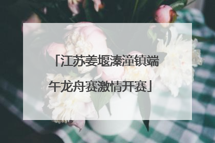 江苏姜堰溱潼镇端午龙舟赛激情开赛