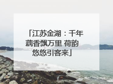 江苏金湖：千年藕香飘万里 荷韵悠悠引客来