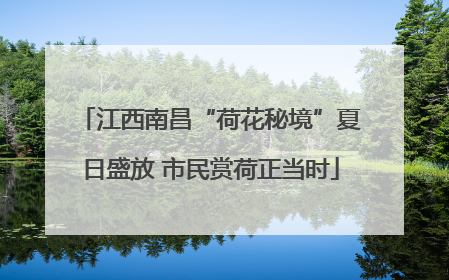 江西南昌“荷花秘境”夏日盛放 市民赏荷正当时
