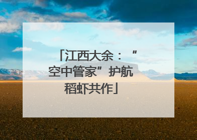 江西大余：“空中管家”护航稻虾共作
