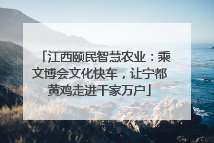 江西颐民智慧农业：乘文博会文化快车，让宁都黄鸡走进千家万户