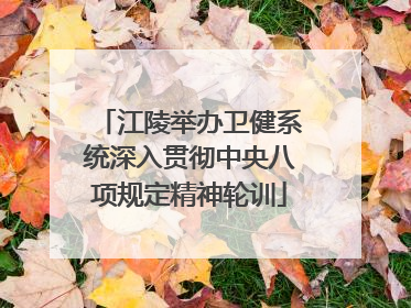 江陵举办卫健系统深入贯彻中央八项规定精神轮训