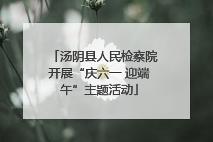 汤阴县人民检察院开展“庆六一 迎端午”主题活动