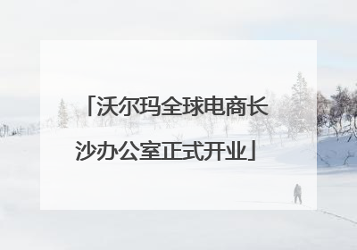 沃尔玛全球电商长沙办公室正式开业