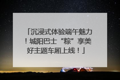 沉浸式体验端午魅力！城阳巴士“粽”享美好主题车厢上线！
