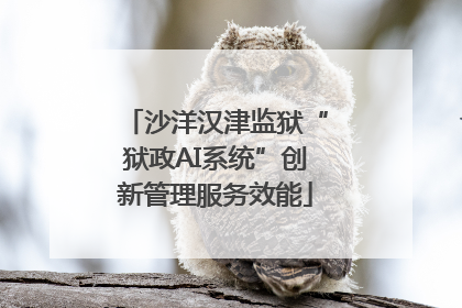 沙洋汉津监狱“狱政AI系统”创新管理服务效能