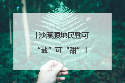 沙漠腹地民勤可“盐”可“甜”
