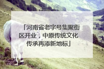 河南省老字号集聚街区开业，中原传统文化传承再添新地标