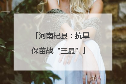 河南杞县：抗旱保苗战“三夏”