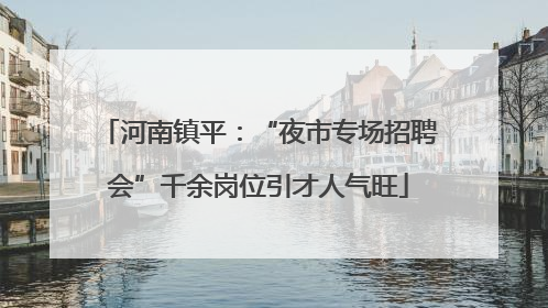 河南镇平：“夜市专场招聘会”千余岗位引才人气旺