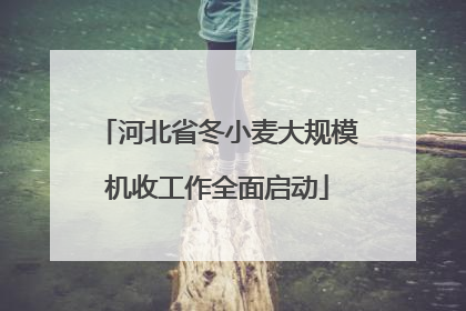 河北省冬小麦大规模机收工作全面启动