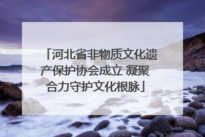河北省非物质文化遗产保护协会成立 凝聚合力守护文化根脉