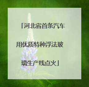 河北省首条汽车用优质特种浮法玻璃生产线点火