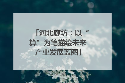 河北廊坊：以“算”为笔描绘未来产业发展蓝图