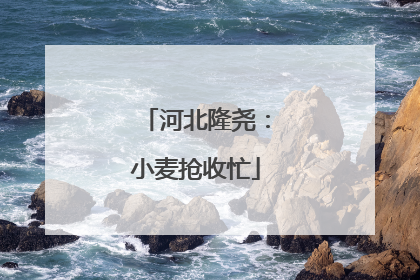 河北隆尧：小麦抢收忙