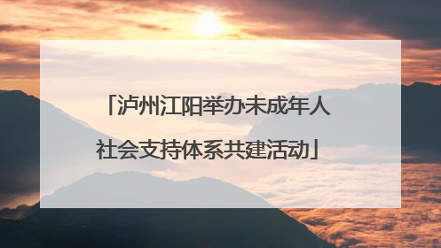 泸州江阳举办未成年人社会支持体系共建活动