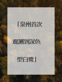 泉州首次观测到深色型白鹭