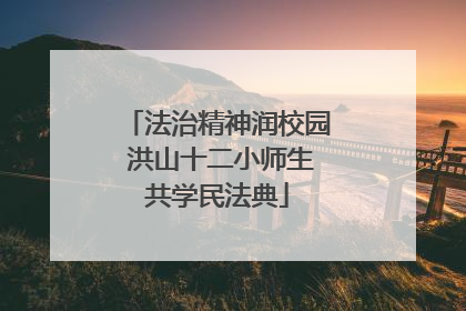 法治精神润校园 洪山十二小师生共学民法典