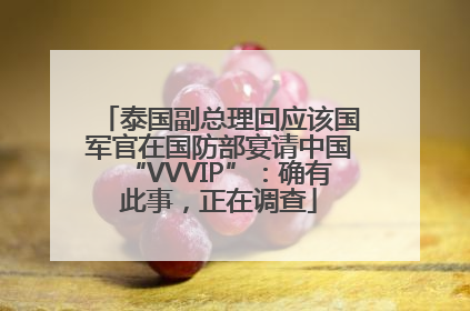 泰国副总理回应该国军官在国防部宴请中国“VVVIP”：确有此事，正在调查