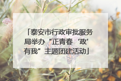 泰安市行政审批服务局举办“正青春‘政’有我”主题团建活动