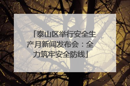 泰山区举行安全生产月新闻发布会：全力筑牢安全防线