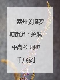 泰州姜堰罗塘街道：护航中高考 呵护千万家
